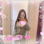 いぶ しゅっきーん𖧷 ⁺. 奥様プリモ