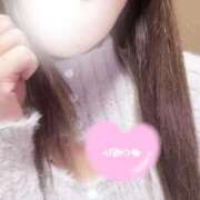 ヒメ日記 2025/12/28 09:39 投稿 いぶ 奥様プリモ