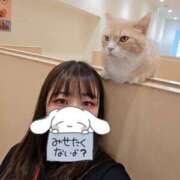 ヒメ日記 2025/11/01 21:50 投稿 もも 夢幻（むげん）