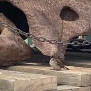 ヒメ日記 2025/12/22 15:21 投稿 すあ 船橋ときめき女学園