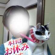 ヒメ日記 2025/12/04 09:01 投稿 村田なおみ MADAM