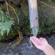 ヒメ日記 2025/11/22 17:22 投稿 みなも sakura