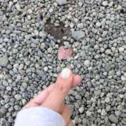 ヒメ日記 2025/12/02 17:52 投稿 みなも sakura