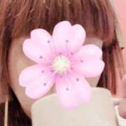 ヒメ日記 2026/01/04 14:52 投稿 みなも sakura