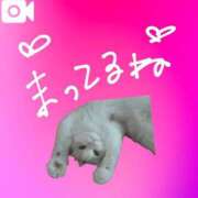 ヒメ日記 2026/01/25 13:12 投稿 みなも sakura