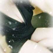 ヒメ日記 2026/02/09 12:14 投稿 黒川れな こあくまな熟女たち 広島店（KOAKUMAグループ）