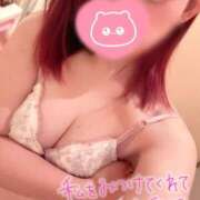 ヒメ日記 2025/11/06 15:36 投稿 ひより 秋葉原コスプレ学園in西川口