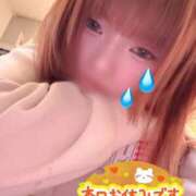 ヒメ日記 2025/11/22 13:29 投稿 ひより 秋葉原コスプレ学園in西川口