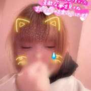 ヒメ日記 2025/12/09 13:39 投稿 ひより 秋葉原コスプレ学園in西川口