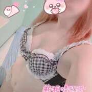 ヒメ日記 2026/01/11 14:46 投稿 ひより 秋葉原コスプレ学園in西川口