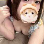 ヒメ日記 2025/11/10 07:01 投稿 かなで ホワイトハウス