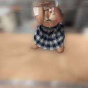 ヒメ日記 2025/11/18 00:15 投稿 かなで ホワイトハウス