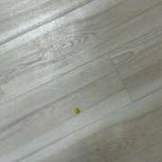 ヒメ日記 2025/11/20 00:57 投稿 かなで ホワイトハウス