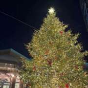 ヒメ日記 2025/12/22 20:16 投稿 佐野あいな Claris Tokyo～クラリス東京～