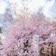 ゆり子 春の午後。 クラブM-1