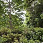 ヒメ日記 2026/04/10 13:30 投稿 ゆり子 クラブM-1