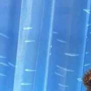 ヒメ日記 2025/12/01 01:15 投稿 やよい とある風俗店♡やりすぎさーくる新宿大久保店♡で色んな無料オプションしてみました