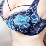 ヒメ日記 2026/01/17 18:05 投稿 木野まこと 市原五井蘇我ちゃんこ