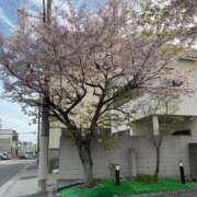 ちほ 久しぶりに投稿します。 熟女家 京橋店