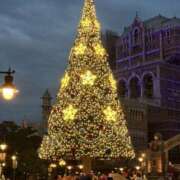 ヒメ日記 2025/11/14 14:33 投稿 橋本しずね 五反田ヒーローズ（ユメオト）