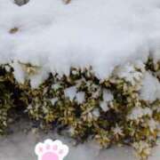 ヒメ日記 2026/02/08 20:58 投稿 桃李【とうり】 丸妻 西船橋店