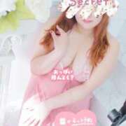 ヒメ日記 2026/02/12 23:56 投稿 桃李【とうり】 丸妻 西船橋店