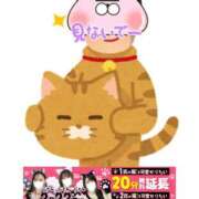 ヒメ日記 2026/02/17 22:03 投稿 桃李【とうり】 丸妻 西船橋店