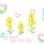 ヒメ日記 2026/03/16 19:19 投稿 桃李【とうり】 丸妻 西船橋店