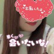 ヒメ日記 2026/03/19 15:24 投稿 桃李【とうり】 丸妻 西船橋店