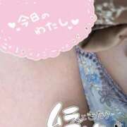 ヒメ日記 2026/03/22 14:01 投稿 桃李【とうり】 丸妻 西船橋店