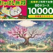 ヒメ日記 2026/03/23 19:24 投稿 桃李【とうり】 丸妻 西船橋店