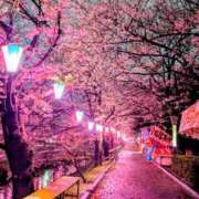 ヒメ日記 2026/04/01 02:24 投稿 桃李【とうり】 丸妻 西船橋店