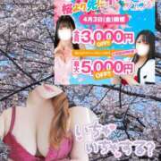 ヒメ日記 2026/04/03 14:19 投稿 桃李【とうり】 丸妻 西船橋店