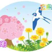 ヒメ日記 2026/04/06 20:46 投稿 桃李【とうり】 丸妻 西船橋店