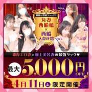 ヒメ日記 2026/04/10 08:11 投稿 桃李【とうり】 丸妻 西船橋店