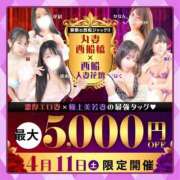 ヒメ日記 2026/04/10 12:21 投稿 桃李【とうり】 丸妻 西船橋店