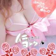 ヒメ日記 2026/04/11 13:07 投稿 桃李【とうり】 丸妻 西船橋店