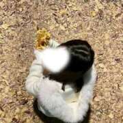 ヒメ日記 2026/02/14 22:05 投稿 白雪ねね 池袋パラダイス