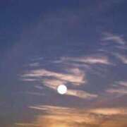 ヒメ日記 2025/11/04 19:18 投稿 ゆず チューリップ土浦店