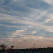 ゆず ごめんなさい チューリップ土浦店