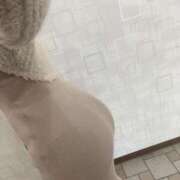 ヒメ日記 2025/11/06 14:42 投稿 本田はるな セレブ Rex