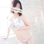 ヒメ日記 2025/11/08 16:37 投稿 本田はるな セレブ Rex