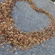 ヒメ日記 2025/11/03 18:59 投稿 織香(おりか) エリートな人妻たち新宿