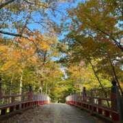 ヒメ日記 2025/11/03 19:19 投稿 織香(おりか) エリートな人妻たち新宿