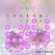ヒメ日記 2026/09/03 12:30 投稿 NEO ティンカーベル