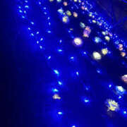 ヒメ日記 2025/12/28 20:54 投稿 とわ さくらん