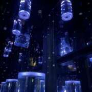 ヒメ日記 2026/01/20 16:24 投稿 とわ さくらん