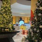 ヒメ日記 2025/11/10 18:50 投稿 あすか 人妻・若妻デリヘル レディプレイス