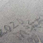 ヒメ日記 2025/12/27 17:10 投稿 あすか 人妻・若妻デリヘル レディプレイス