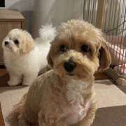 ヒメ日記 2025/11/17 15:34 投稿 リノ ビギナーズ和歌山